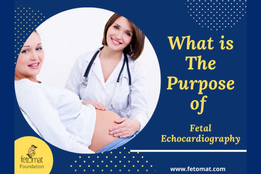 What is The Purpose of Fetal Echocardiography?