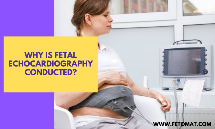 Why Is Fetal Echocardiography Conducted?