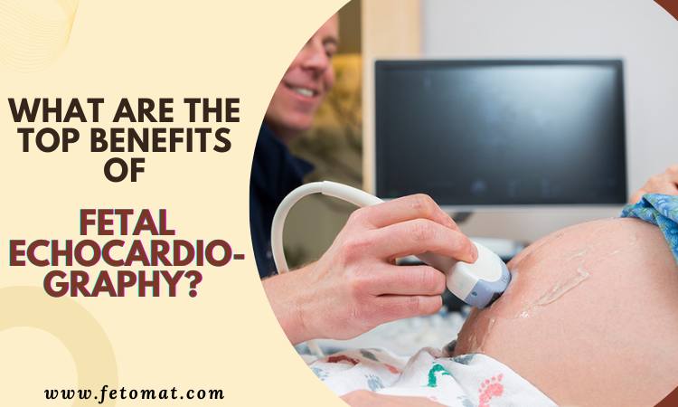 What Are The Top Benefits Of Fetal Echocardiography?