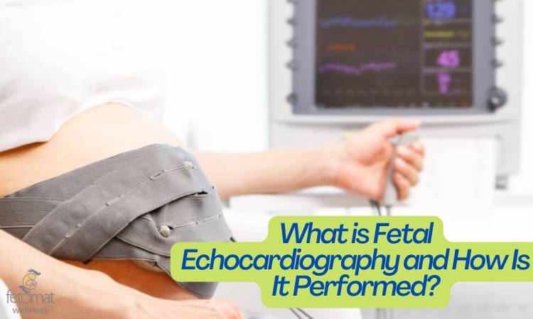 What Is Fetal Echocardiography And How Is It Performed?