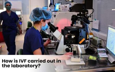 How is IVF carried out in the laboratory?