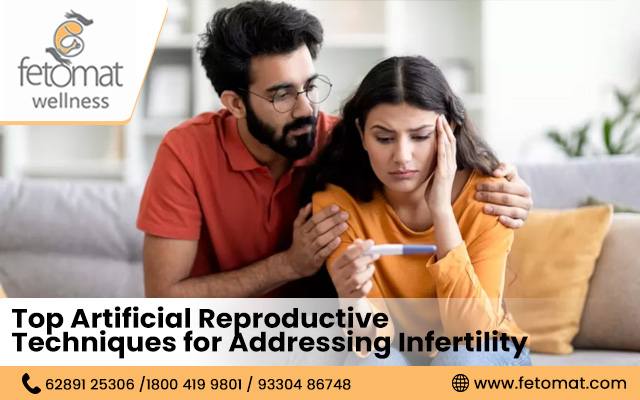 Top Artificial Reproductive Techniques for Addressing Infertility