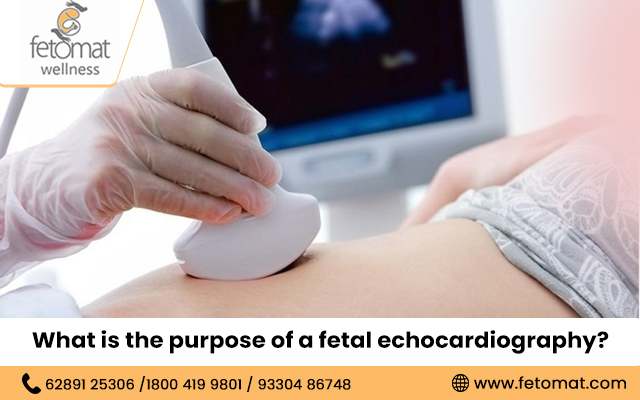 What is the purpose of a fetal echocardiography?